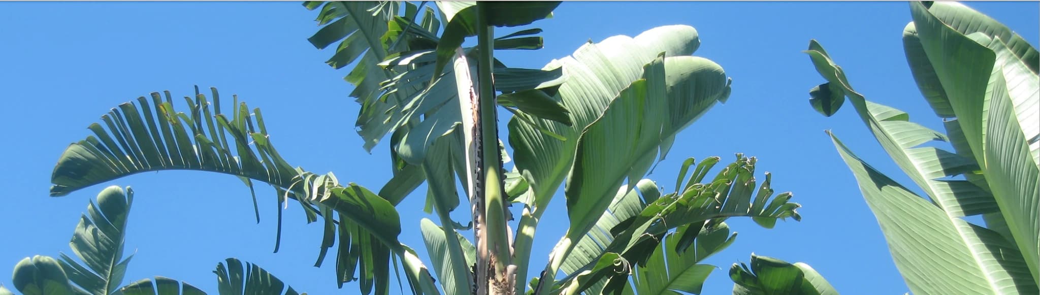 ACADÉMIE DE CATHERINE SCHNEIDER